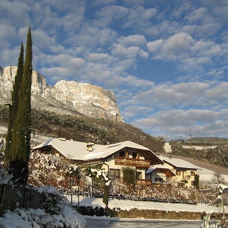 Gfillhof Ferienwohnung 3 Appiano Sulla Strada Del Vino Exterior photo